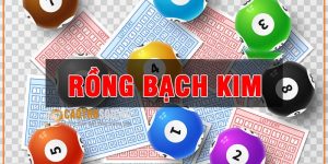 Rồng bạch kim là trang soi cầu lô có tính chính xác cao